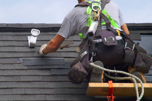 Best Storm Damage Roof Repair  in Elmo, TX