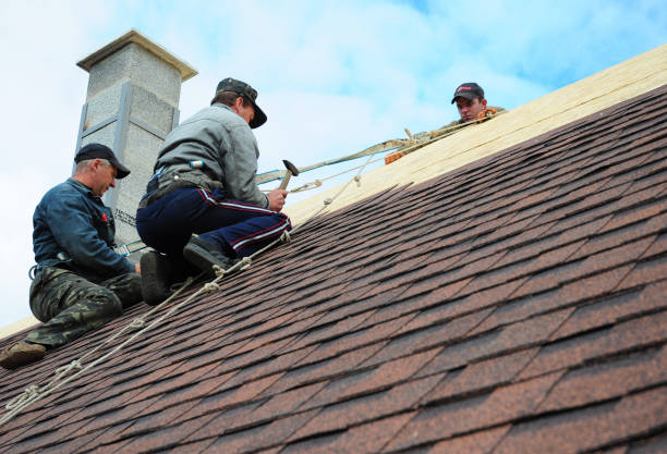 Best Roof Repair Services  in Elmo, TX