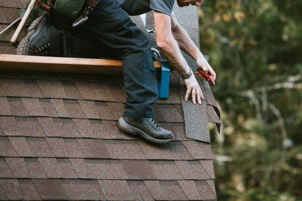 Best Local Roofing Companies  in Elmo, TX